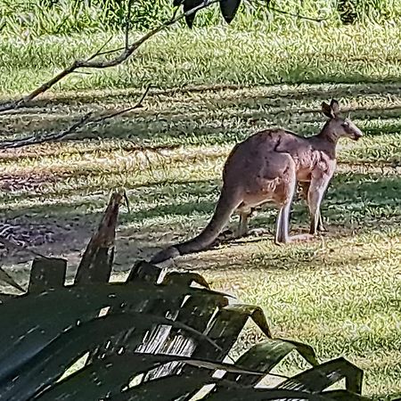 Forest view bungalow Nambucca Heads Exterior foto